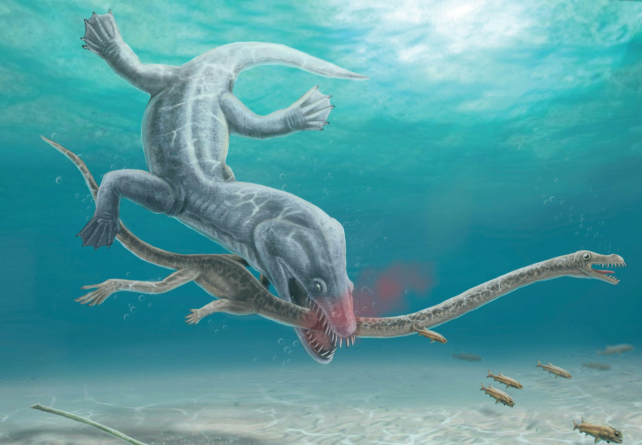 Long-necked marine reptiles rotate the necks of their enemies